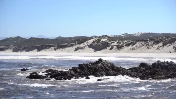 Ondas Atingiu Rochas Frente Bela Praia Areia África Sul — Vídeo de Stock