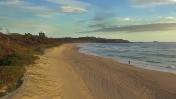 Aerial Drone Travelling Shot Jogger Running Beach Coffs Harbour — Stock Video