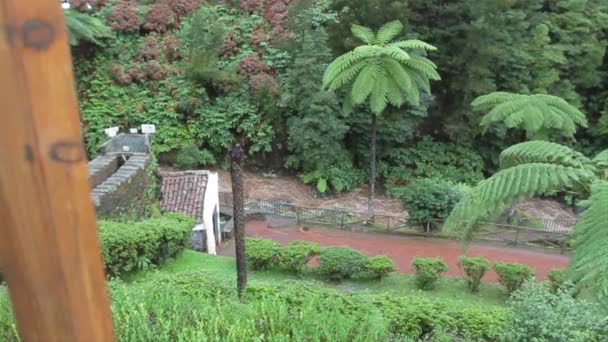 Невеликий Струмок Природному Парку Рібейра Дос Кальдейрус Ахада Нордесте Острів — стокове відео