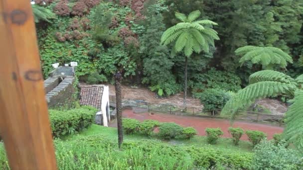 Een Beekje Bij Natuurpark Ribeira Dos Caldeiroes Achada Regio Nordeste — Stockvideo