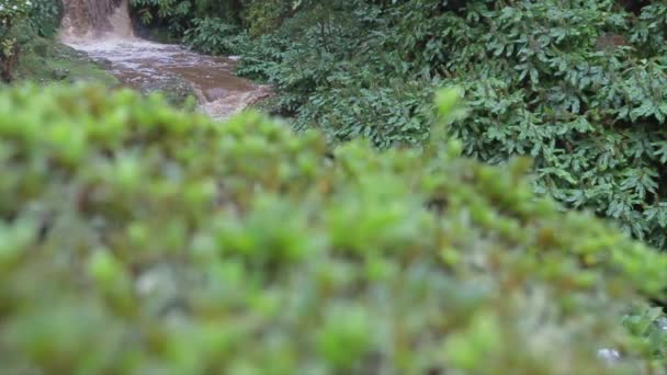 从一条泥泞的小溪流中发出的第一声枪声 在Ribeira Dos Caldeiroes自然公园 Achada Nordeste地区 Sao Miguel岛 Azores 水是褐色的 — 图库视频影像