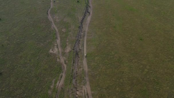 Safari Tour Car Road Serengeti National Park Evening Tanzania — Stock Video