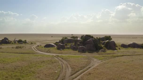 Steininsel Mitten Serengeti Tal Serengeti Nationalpark Tansania — Stockvideo