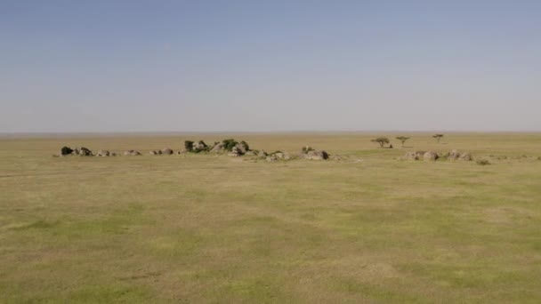 Stone Island Serengeti Valley Safari Tour Car Parked Shadow Tree — Stock Video