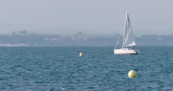 Ein Segelboot Fährt Auf Einem See Vorbei — Stockvideo