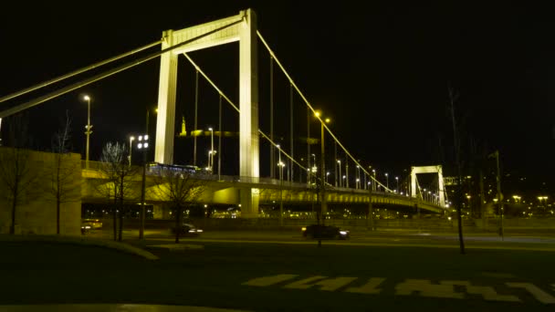 Budapest Erzsebet Bridge Night Shot Fast Foward — Stock Video
