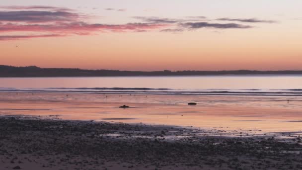 苏格兰莱文海滩清晨 黎明时分 阳光普照 波涛汹涌 — 图库视频影像