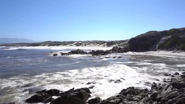 Vacker Sydafrikansk Strand Trädgårdsrutten Bredvid Hermanus — Stockvideo