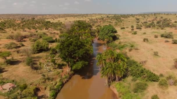 River Going Samburu Maasai Land Kenya Aerials Shots — Stock video