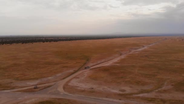 Game Drive Safari Pejeta Kenya Aerial Shot — Stok video