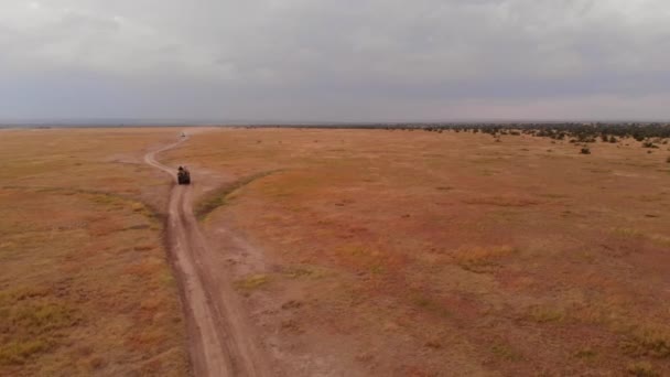 Game Drive Safari Pejeta Kenya Aerial Shot — Stok video