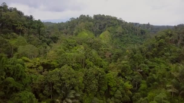 Aerial Shot Jungle Bali — Vídeo de stock