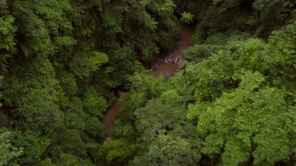 Nungnung Waterfall Middle Bali Indonesia Aerial Shots Overcast Day — Vídeos de Stock