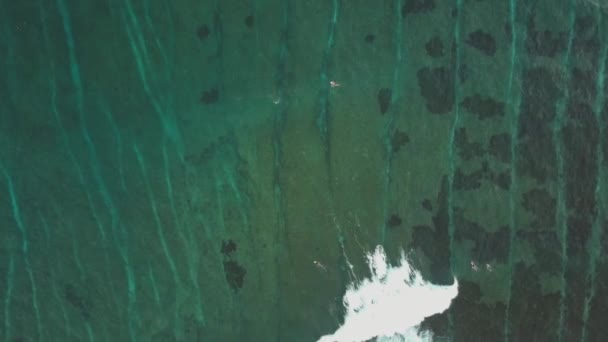 Top View Surfing Pantai Seger Kuta Lombok Aerial Shots Sunset — Vídeos de Stock