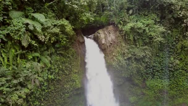 Nungnung Waterfall Middle Bali Indonesia Aerial Shots Overcast Day — Stock Video