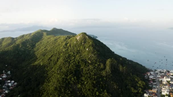 Drone Distanciando Uma Montanha Floresta Tropical Dia Verão Revelando Cenário — Vídeo de Stock