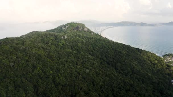 Drönare Distanserar Tropisk Skog Berg Sommardag — Stockvideo