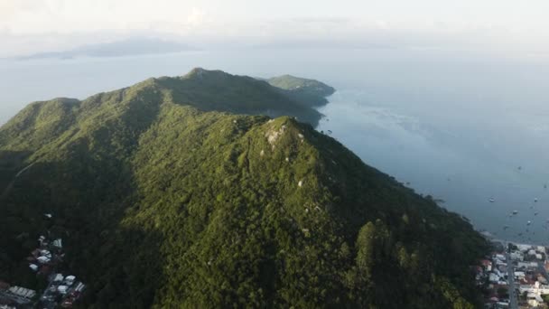 Drone Aproximando Pico Caminhada Uma Montanha Floresta Tropical Dia Verão — Vídeo de Stock