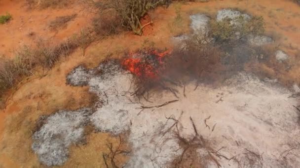 Požár Místní Vesnici Samburu Severní Keni Letecký Snímek — Stock video