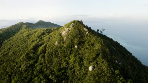 Drönare Distanserar Tropisk Skog Bergstopp Vacker Sommardag Avslöjar Landskapet Med — Stockvideo