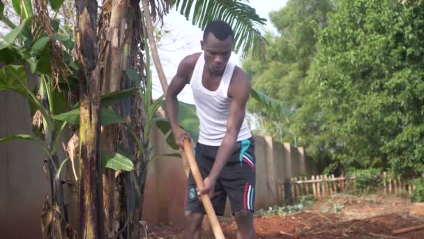 Zpomalený Záběr Afrického Muže Který Kopal Své Zahradě Pomocí Motyky — Stock video