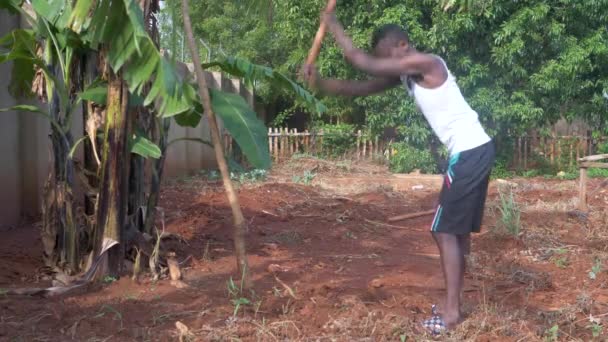 African Man Digging His Garden Hoe Hot Sun Rural Africa — стокове відео