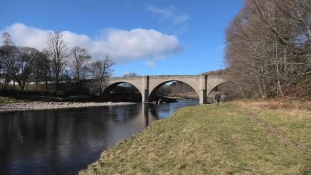 Potarch Bridge Dáma Kráčí Kameru Jasném Jarním Slunci — Stock video