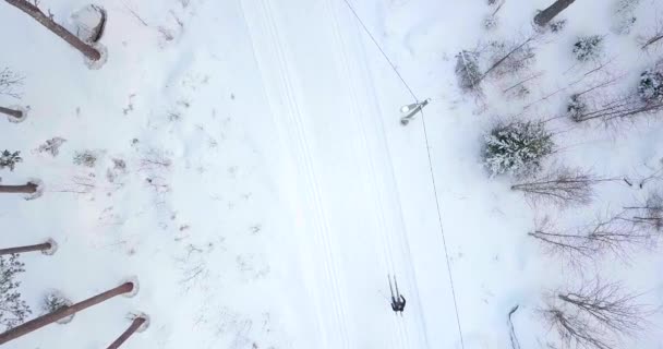 Вид Сверху Вниз Катание Лыжах Зимнем Лесу — стоковое видео