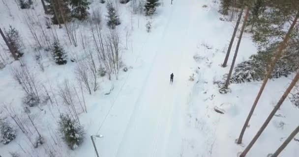 Aeronave Drone Shot Esqui Profissional Alta Velocidade Cross Country Finlândia — Vídeo de Stock