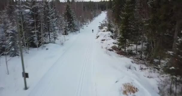 Aerial Drone Shot Cross Country Skier High Speed Low Altitude — Stock Video