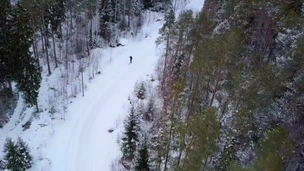 Aérea Vista Arriba Hacia Abajo Esquiador Bosque Invierno — Vídeos de Stock