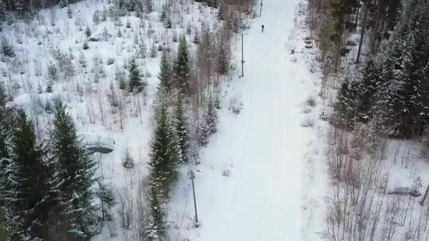 Υπεραστικό Cross Country Σκι Lapland Δάσος Drone Shot — Αρχείο Βίντεο