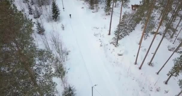 Esquiador Larga Distancia Vista Arriba Hacia Abajo Drone Tiro Descendente — Vídeo de stock