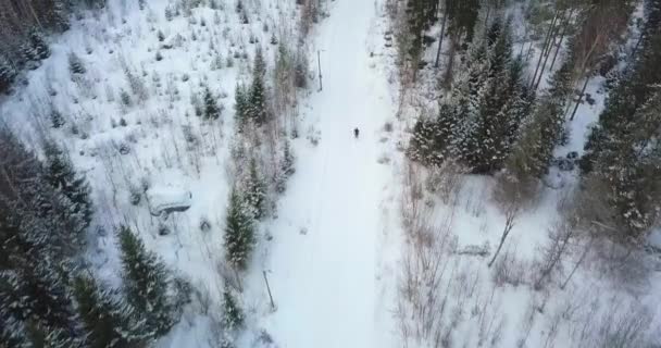 Esquí Aéreo Fondo Bosque Invernal — Vídeos de Stock