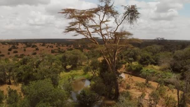 Kenya Kuru Bir Arazi Havadan Çekilen Görüntü — Stok video