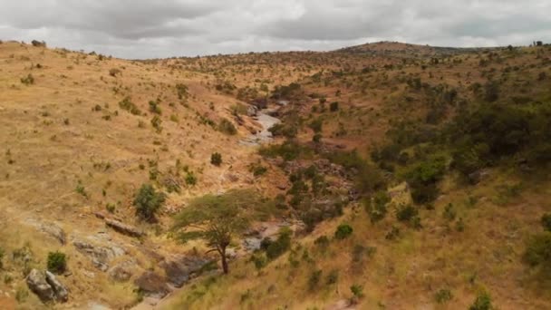 Resort Next Lake Conservancy Northern Kenya Aerial Shots Morning — Stock Video