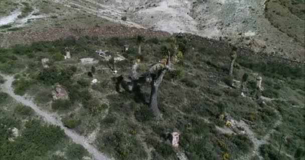 San Luis Potosi墨西哥Real Catorce公墓的坟墓和当地植物的空中拍摄 — 图库视频影像