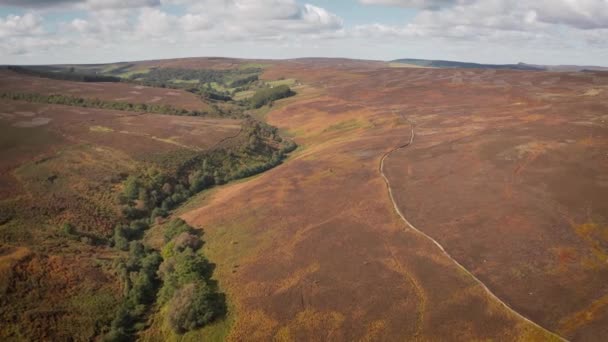 Ausgedehnte Antenne Der Farbenfrohen North York Moors Herbst — Stockvideo