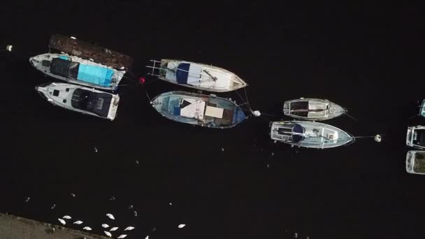 Vertical Hava Kuşları Karanlık Kanal Yolundaki Çeşitli Teknelere Bakıyor — Stok video