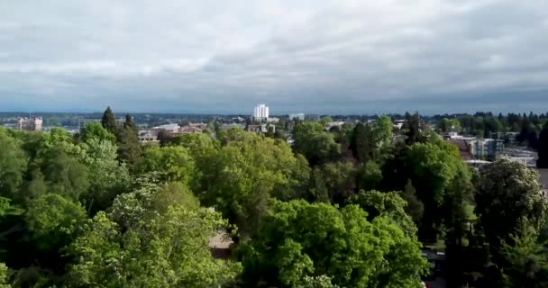 Drohnenflug Über Park Mit Stadt Horizont — Stockvideo