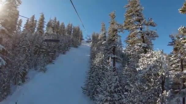 Montar Telesilla Subiendo Entre Árboles Cubiertos Nieve — Vídeos de Stock