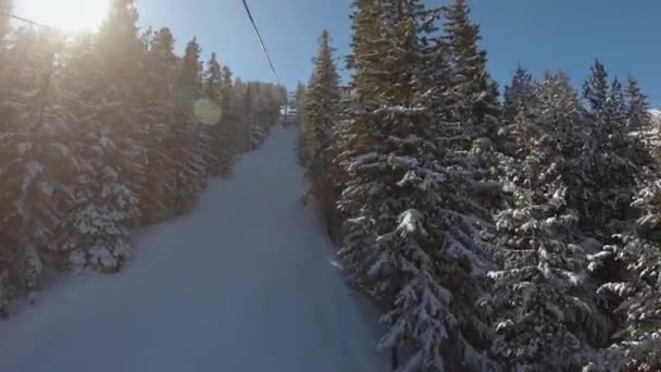 Montar Telesilla Que Sube Entre Árboles Forma Aguja Cubiertos Nieve — Vídeos de Stock