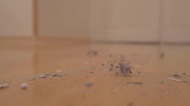 Panning Shot Dirty Wooden Floor Full Dust Hair — Stockvideo