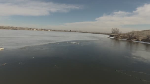 Capture Sea Gulls Frozen Lake — Stockvideo