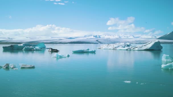 Jokulsarlon Jkulsrln Glacier Lagoon Lake Iceland Ice Vatnajokull — стоковое видео