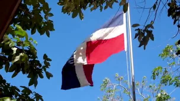 Bandera República Dominicana Con Cielo Azul Árboles Día Ventoso — Vídeo de stock