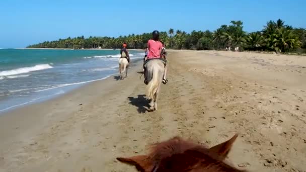 Pov Équitation Sur Plage Tropicale — Video