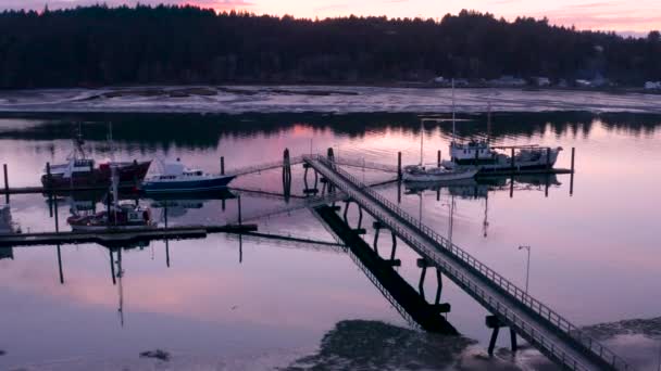 无人机飞越停泊在俄勒冈州查尔斯顿市的商业渔船 查尔斯顿市位于俄勒冈州海岸的科斯湾和北弯附近 — 图库视频影像