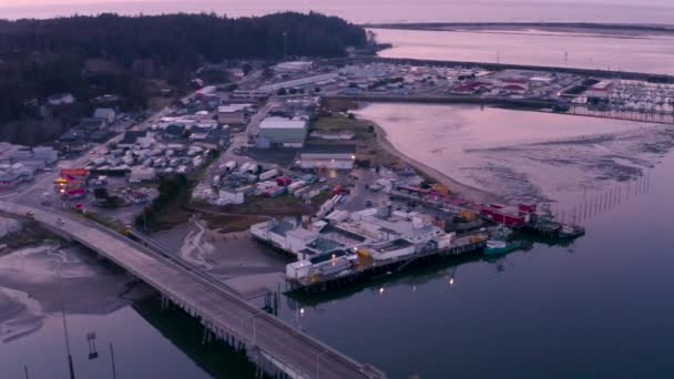 Dron Letící Vysoko Nad Charlestonem Oregonu Během Krásného Barevného Fialového — Stock video