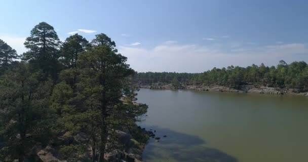 Aerial Jib Shot Pine Trees Shore Arareco Lake Copper Canyon — Stok video